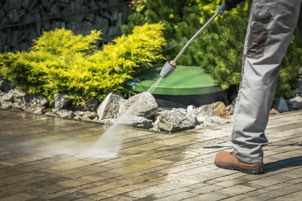 Best Soft Washing for Delicate Surfaces in Dallas, NC